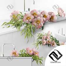 Peonies in sink