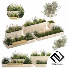 Уличные растения 455