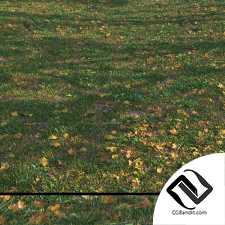 Трава с листьями