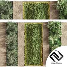 Фитостены Бетон и вертикальный сад