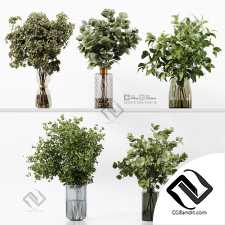 Букеты collection 07