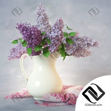 Букет Bouquet of lilacs in a vase