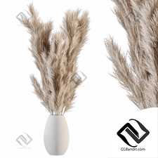 Букет из пампасов