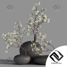 Букеты Ветки цветущей вишни