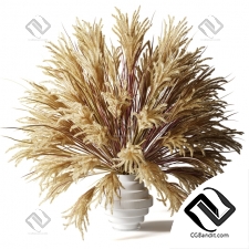 Букет Fluffy bouquet of dry grass with tails in a glass white vase