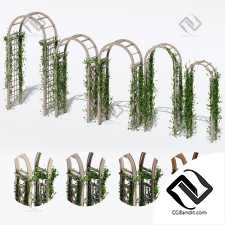 Уличные растения Street plants Collection of street arches