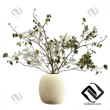 Букеты из веток