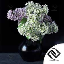 Букет Bouquet Lilac