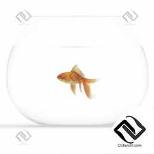 Живые существа Living creatures gold fish