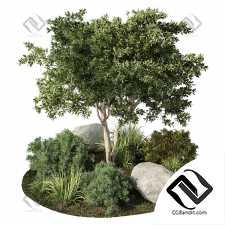 Уличные растения 295