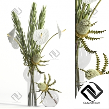 Букет Bouquet Banksia, anthurium, Leucadendron