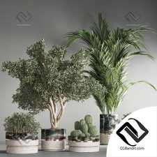 indoor plant set25