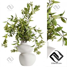 Букет из веток