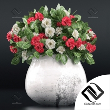 Букет Bouquet Flowers in a vase