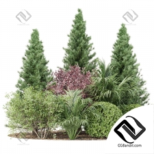 Набор растений 17