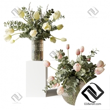 Букет Bouquets of eucalyptus and tulips in glass vases