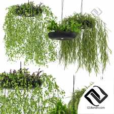 Подвесной светильник Indrid Decorative Plants Black Light By Lightmakers