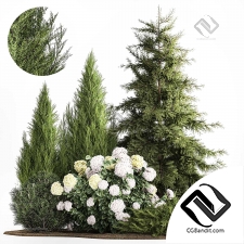 Набор растений