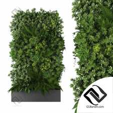 Фитостены Vertical