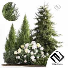 Набор растений