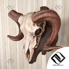 Череп барана с креплением ram skull with wall mount