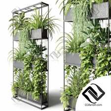 Комнатные растения 340