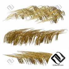 Трава в воде