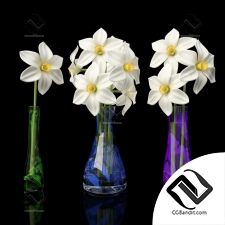 Букет Bouquet Daffodils