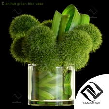 Букет Bouquet Dianthus green trick vase