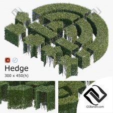Кусты Bushes Hedge 13