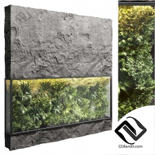 Фитостены 08