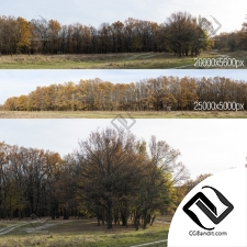 Текстуры Панорамные изображения Textures Panoramic images Oak Grove