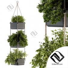 Комнатные растения Hanging pot with Rope