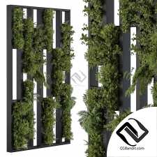 Фитостены 58