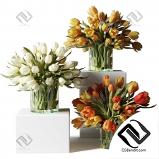 Букеты Yellow, orange and white tulips