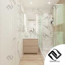 bathroom shower room toilet scene interior 3dmax интерьер душевая ванная