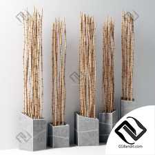 Bamboo vase slice thin branch decor n3 / Ветки бамбука в вазах