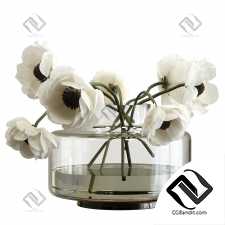 Букеты анемонов