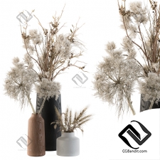 Букет Bouquet Pampas and Dried Branch