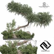 Уличные растения 390