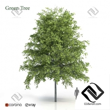 Деревья Green Tree