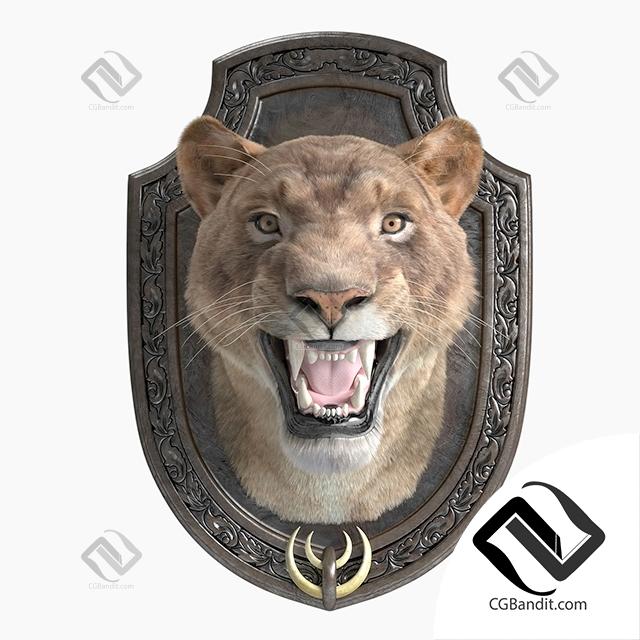 Голова Льва На Декоративном Щите Lion Head On Decorative Shield 3D.